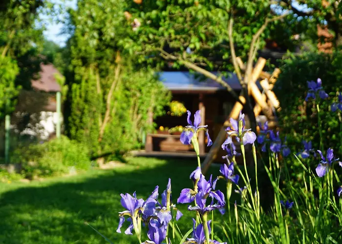 Goralska Z 1930r. Chalet *