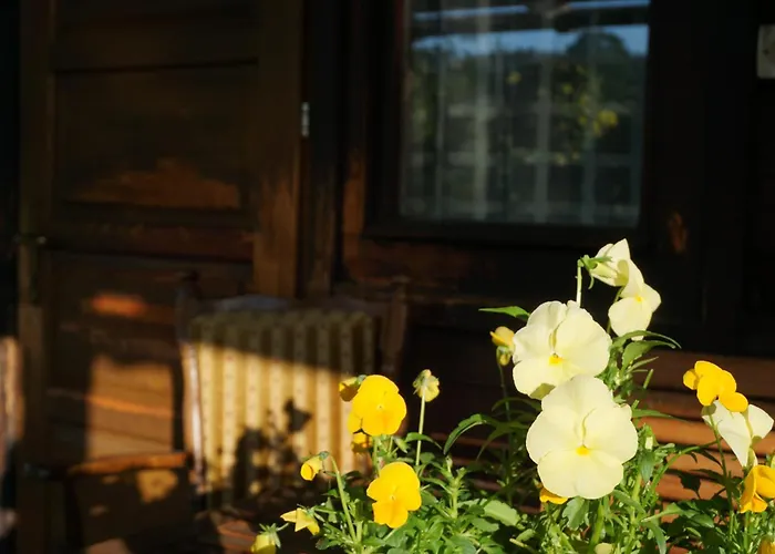 Chalet Goralska Z 1930r.